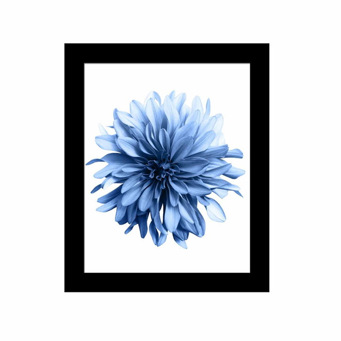Wallity Cuadro Decorativo SCT-049 Multicolor Wallity Cuadro Decorativo SCT-049 Multicolor